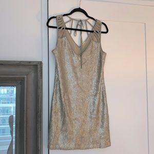 Rebecca Minkoff Taupe Sequin Dress with Pockets